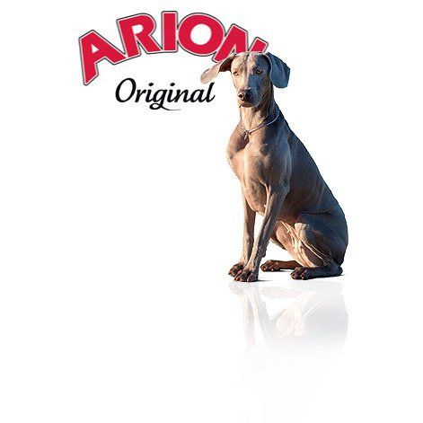 Arion Original